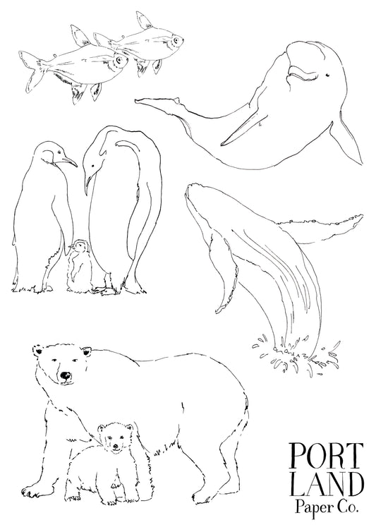 Portland Paper Co Colouring Sheet No.1