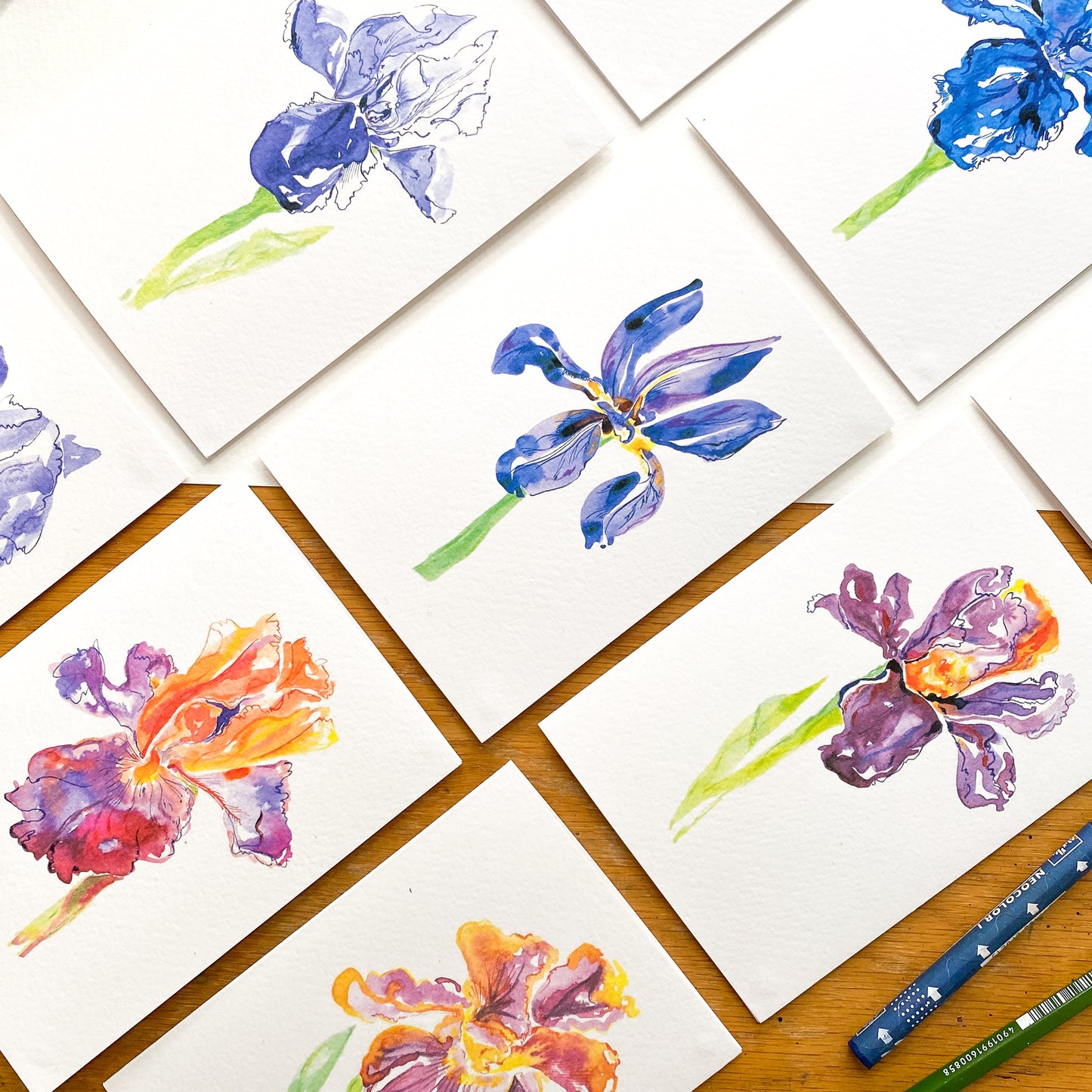 Iris Card Collection