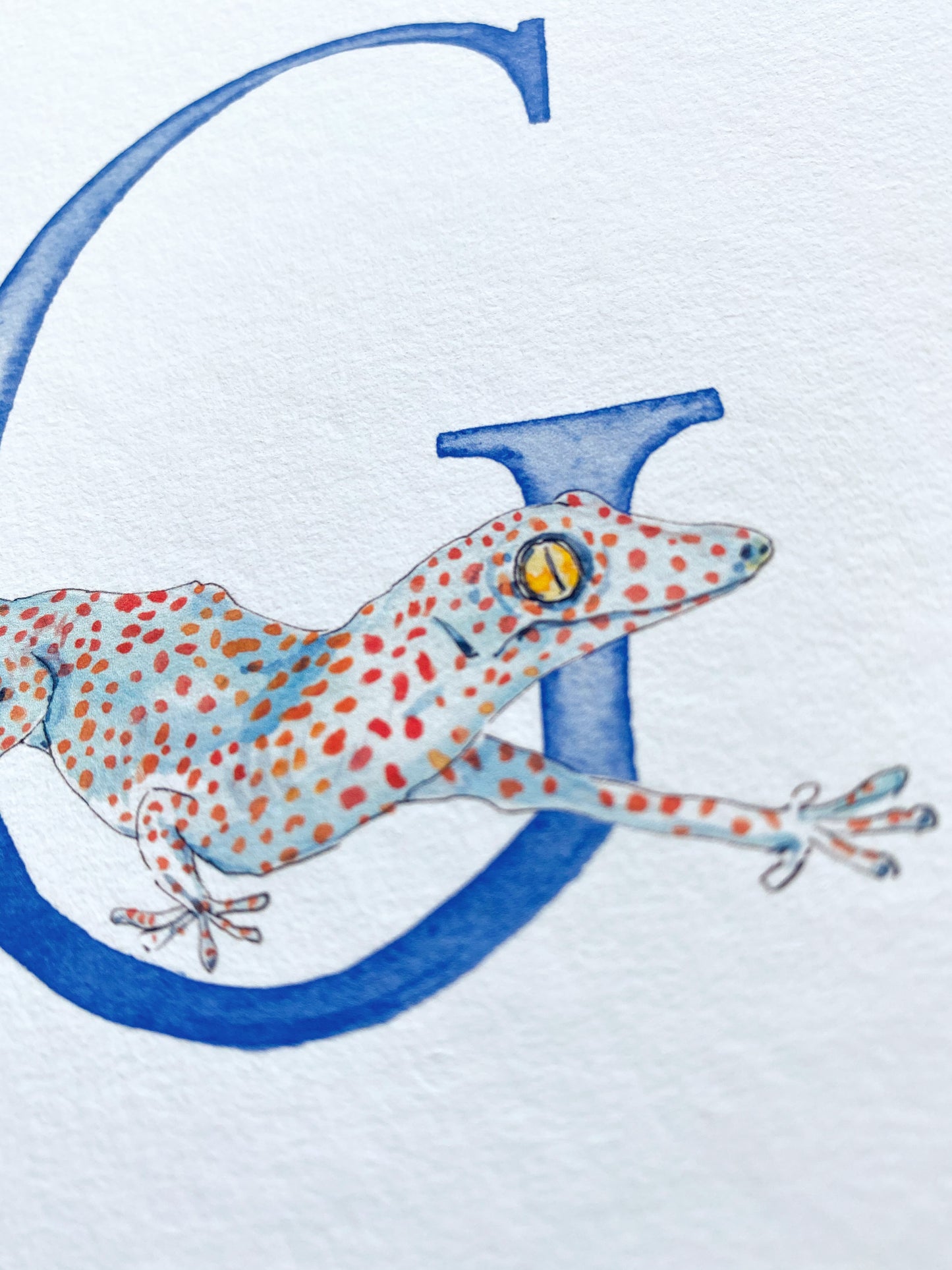 Animal Alphabet Name Print - bespoke + personalised