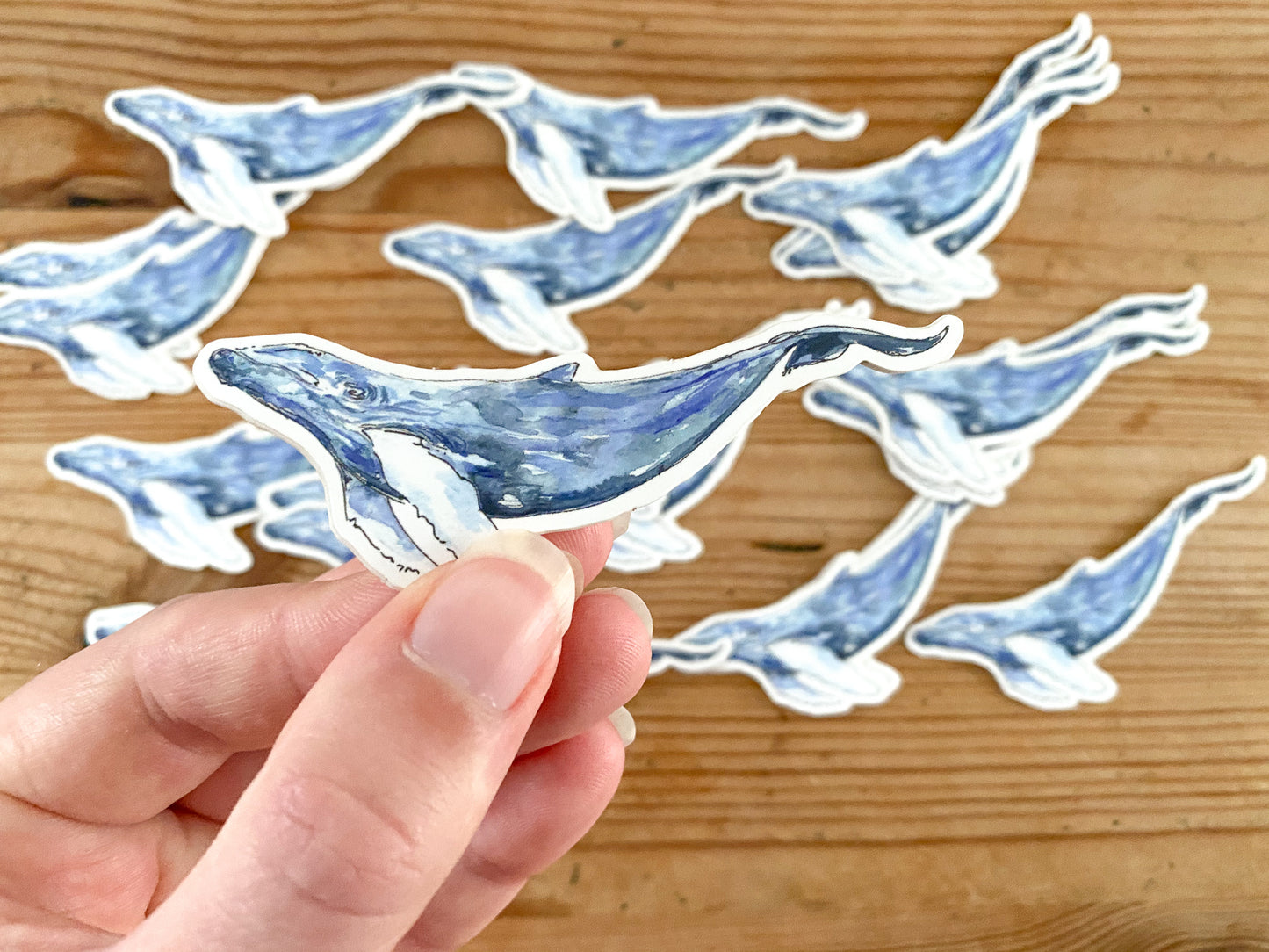 Stickers! - toucan, octopus, leopard, blue whale, gecko, elephant