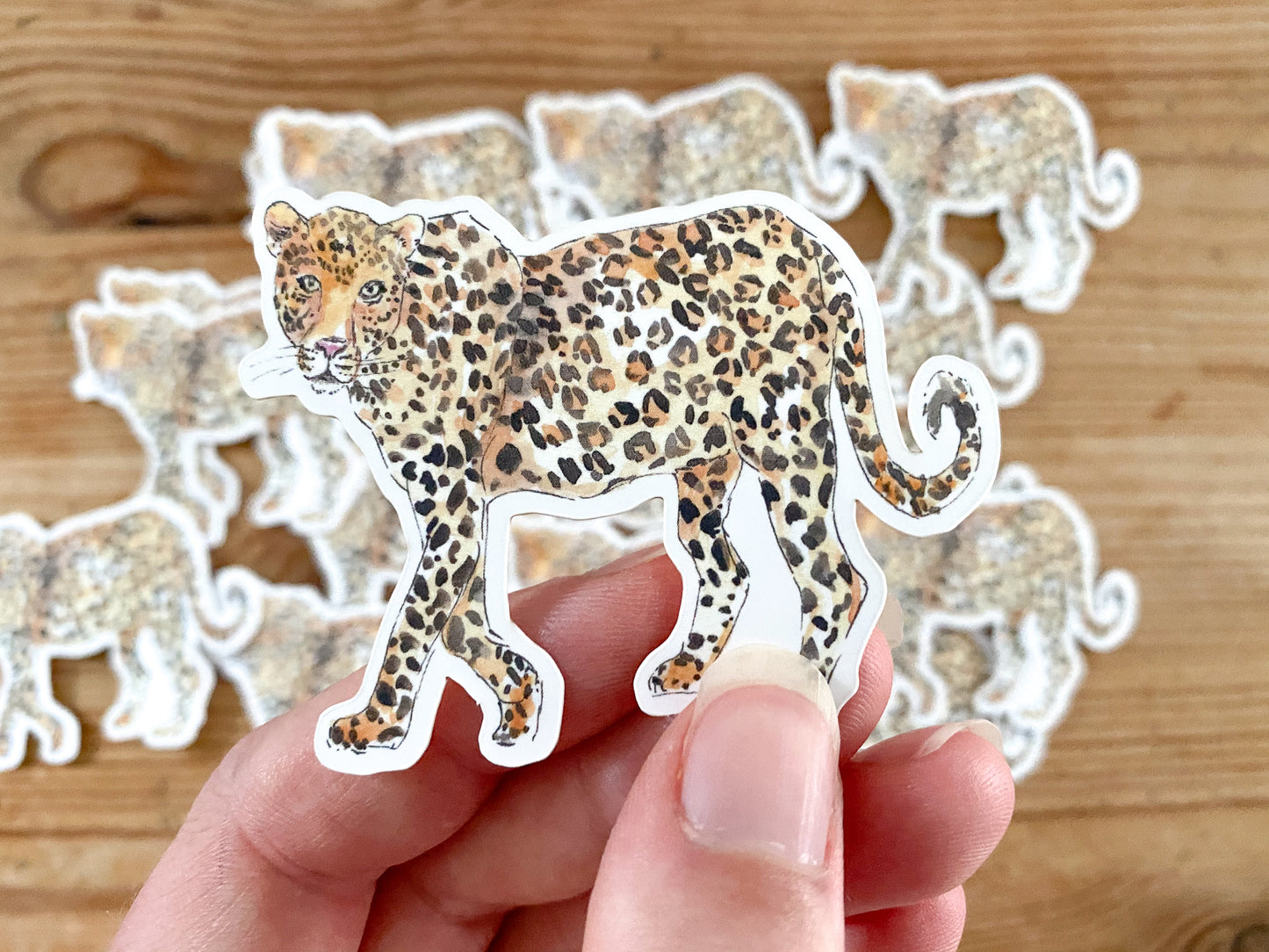 Stickers! - toucan, octopus, leopard, blue whale, gecko, elephant