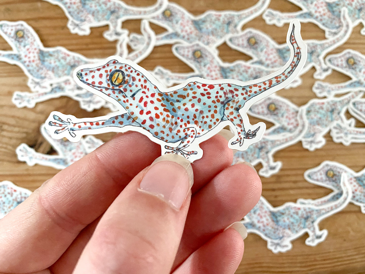 Stickers! - toucan, octopus, leopard, blue whale, gecko, elephant