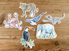 Load image into Gallery viewer, Stickers! - toucan, octopus, leopard, blue whale, gecko, elephant