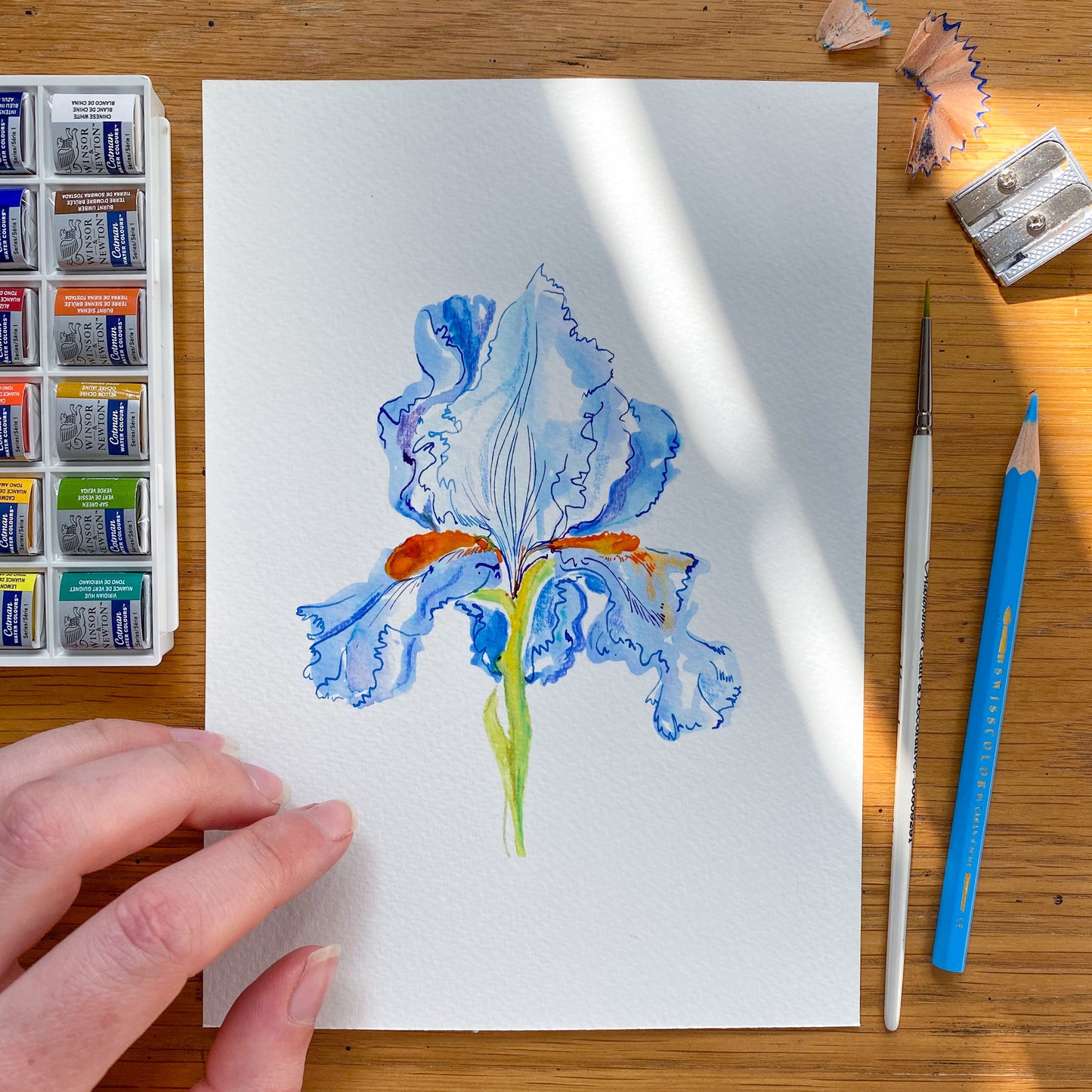 Iris No.1 card