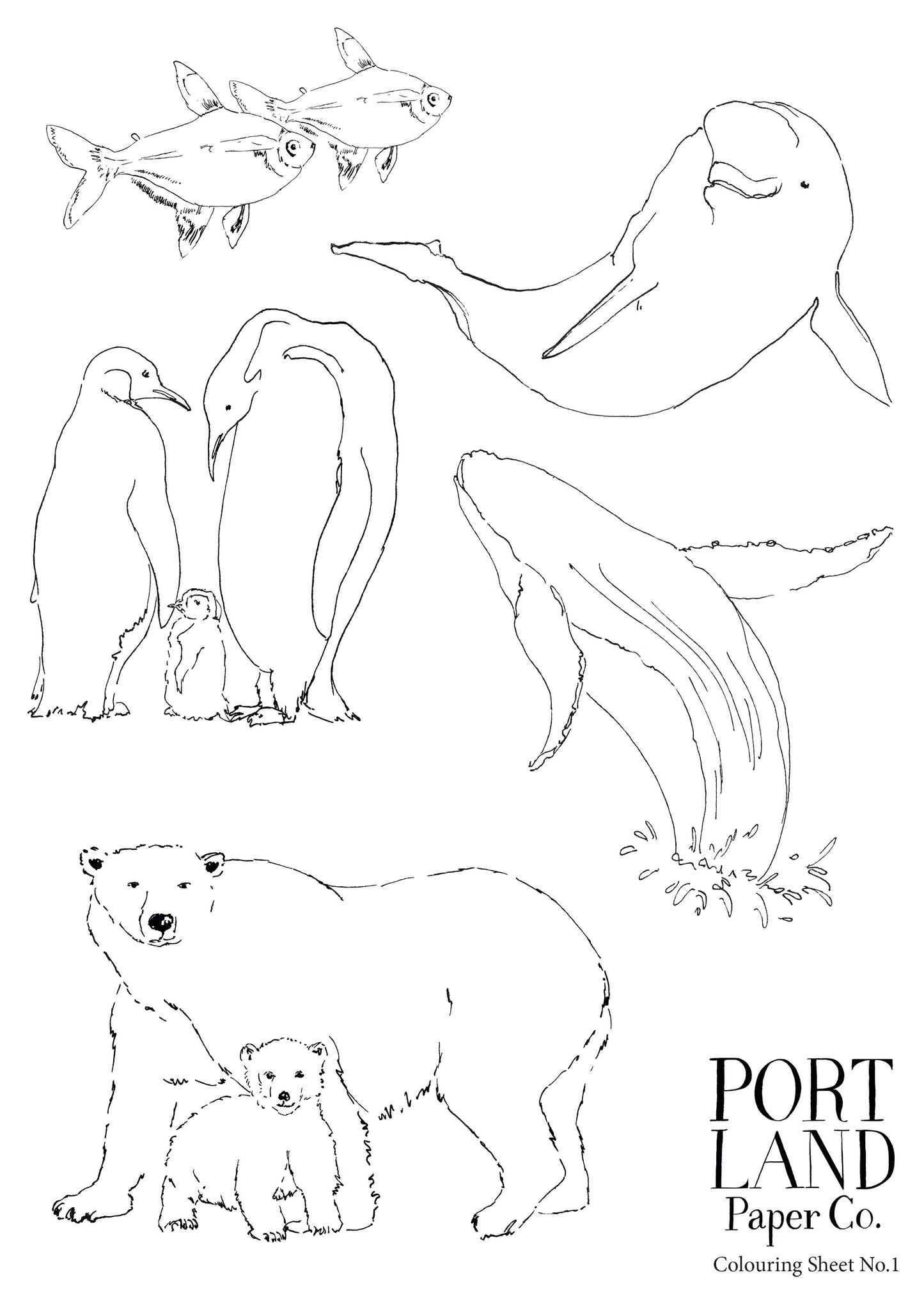 Portland Paper Co. Colour Sheet No.1
