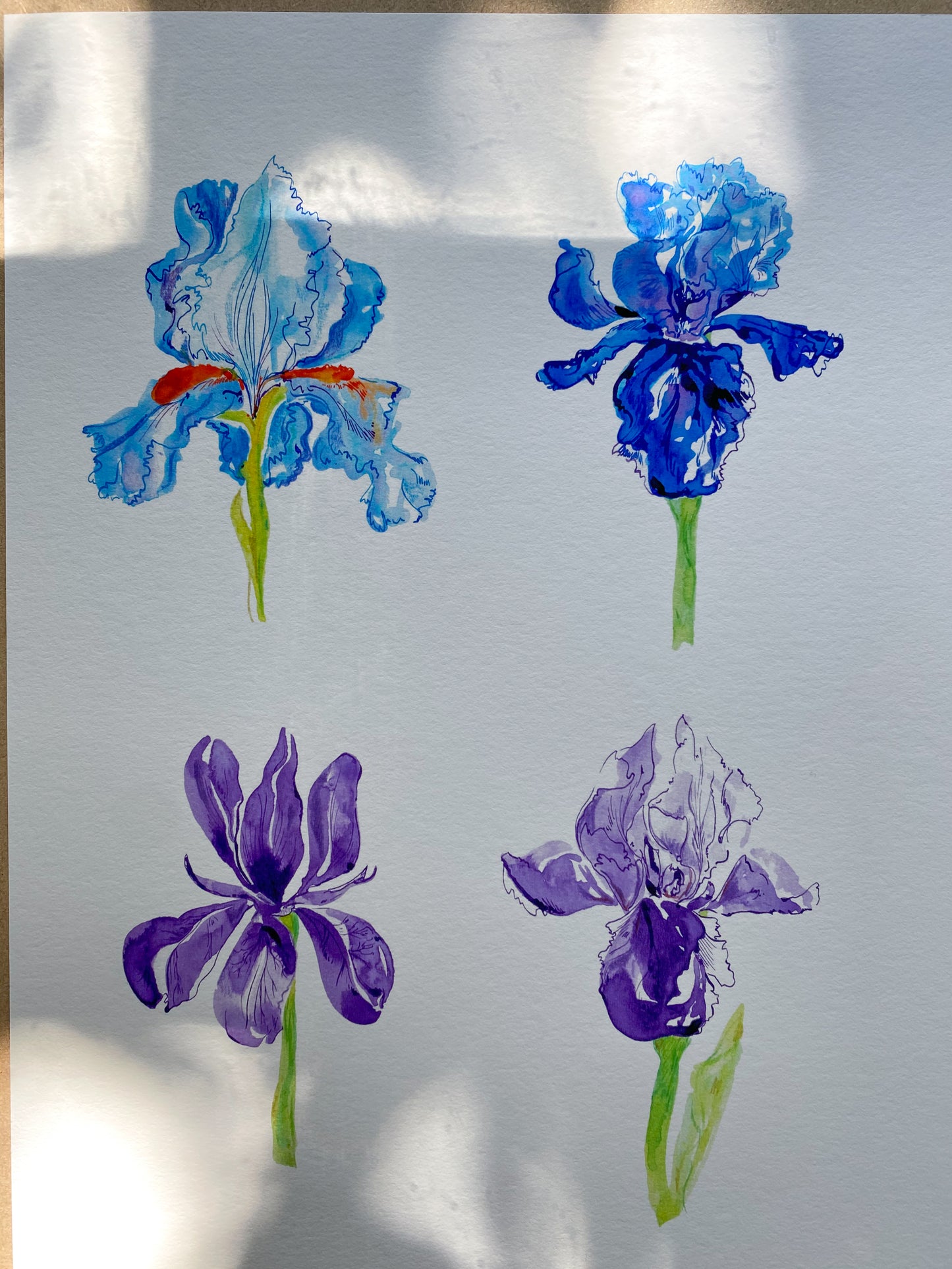 'A Bunch of Irises' print