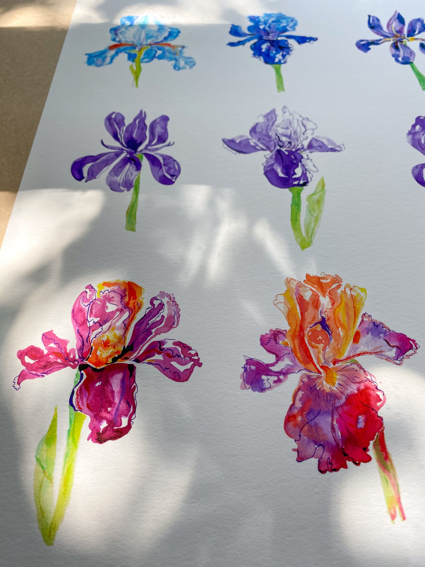 'A Bunch of Irises' print