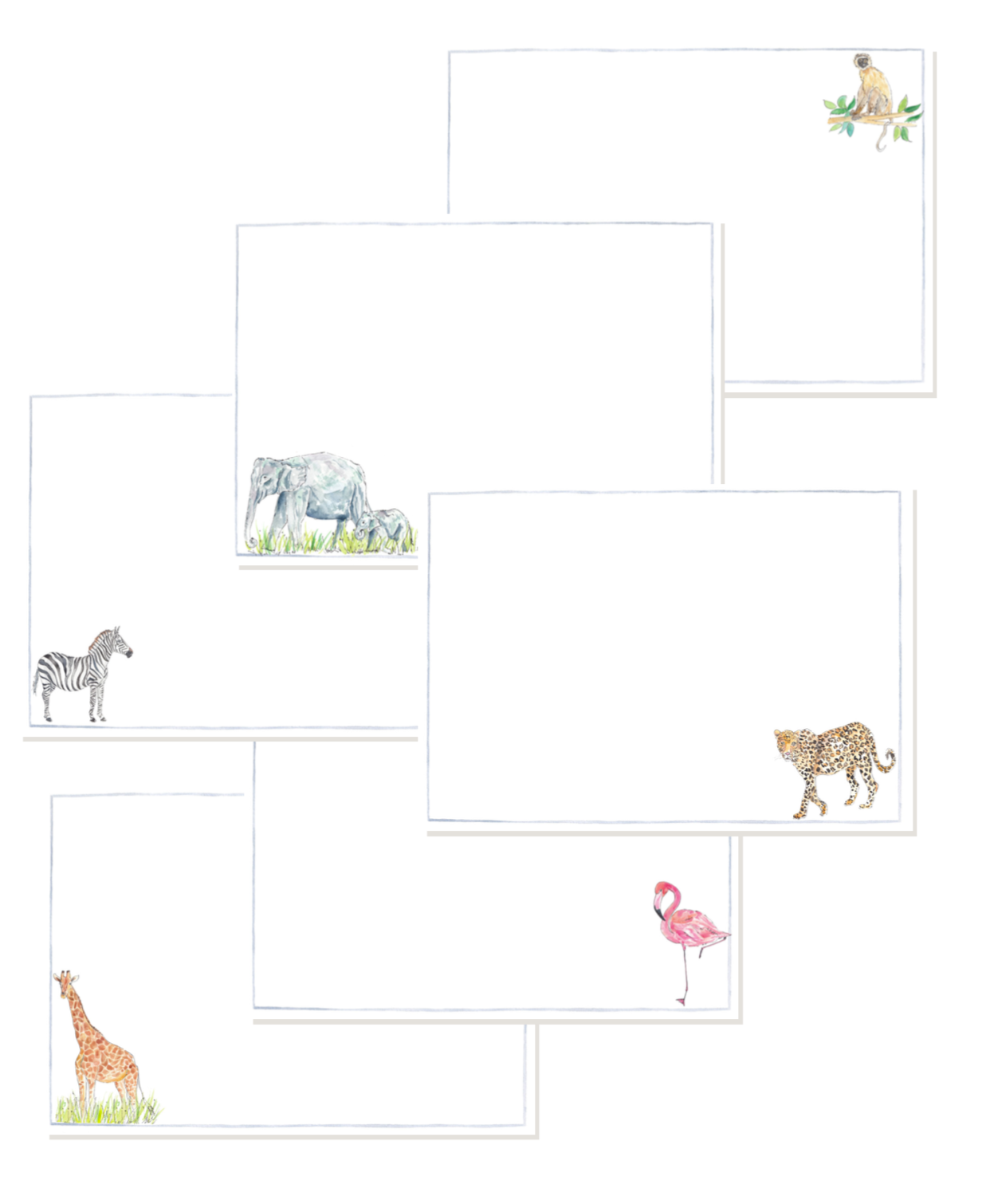 On Safari notelets