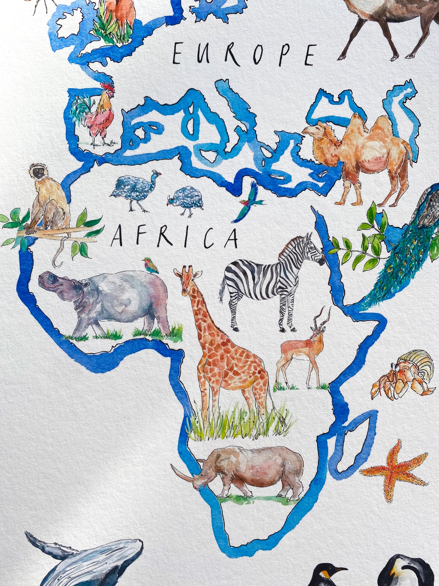A World of Animals print