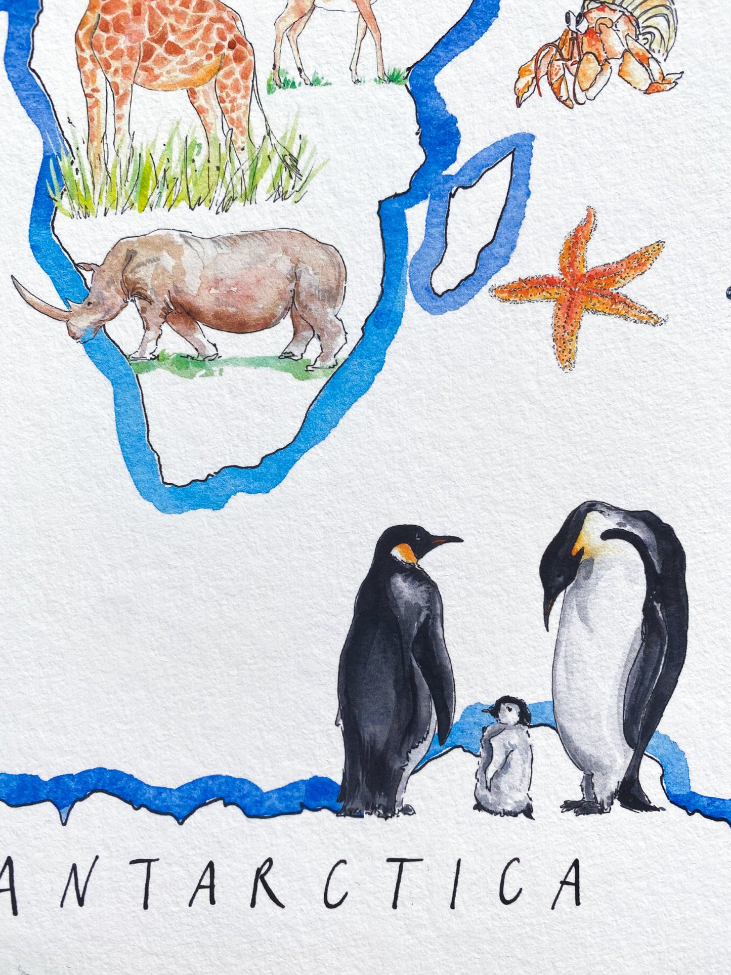 A World of Animals print