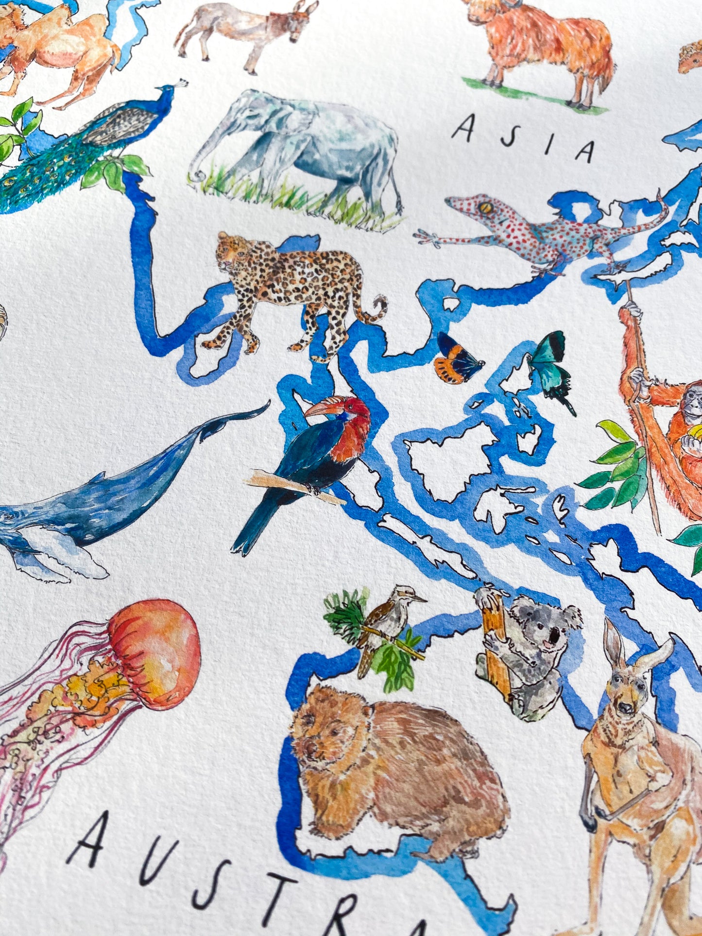 A World of Animals print