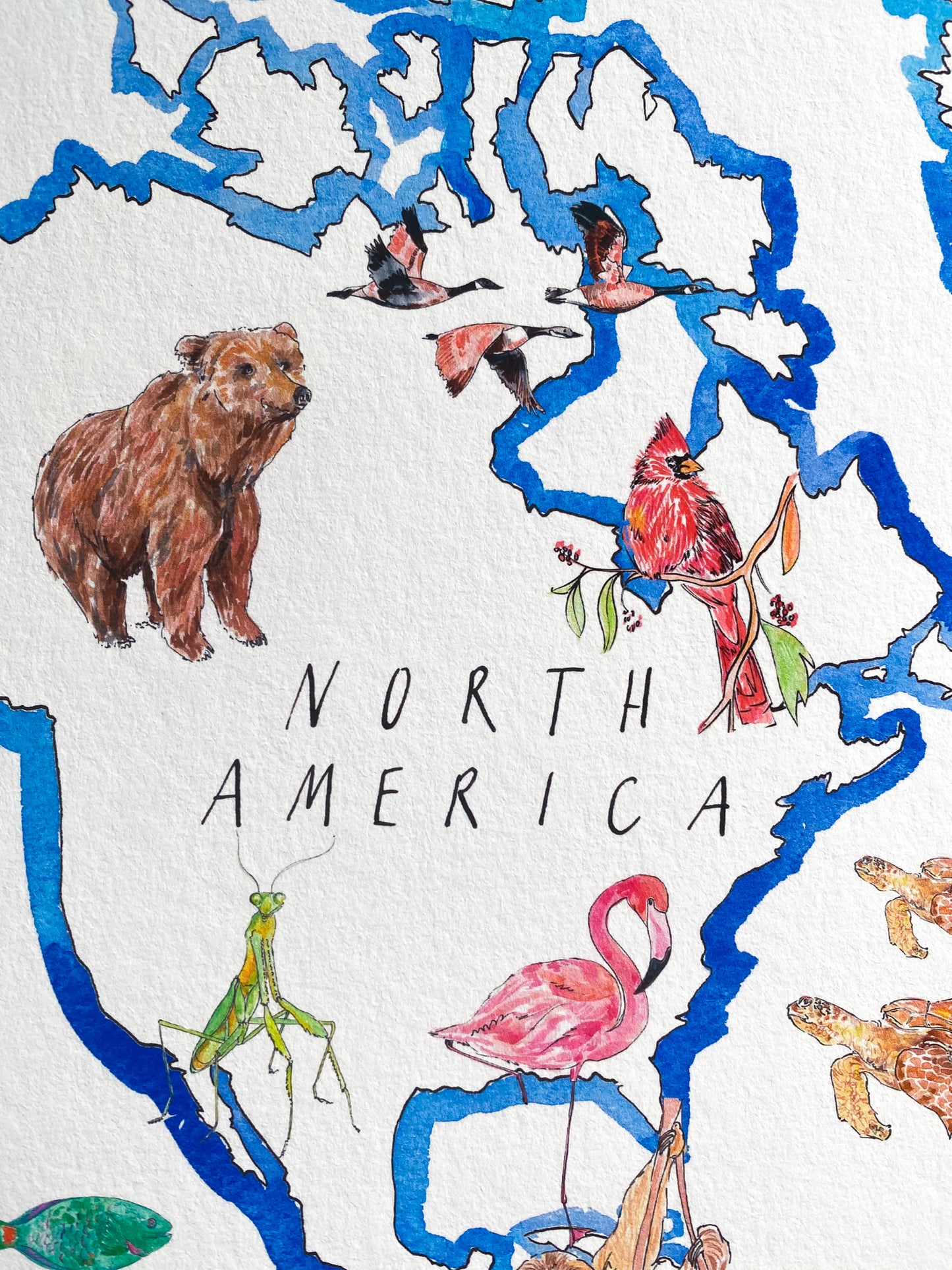 A World of Animals print