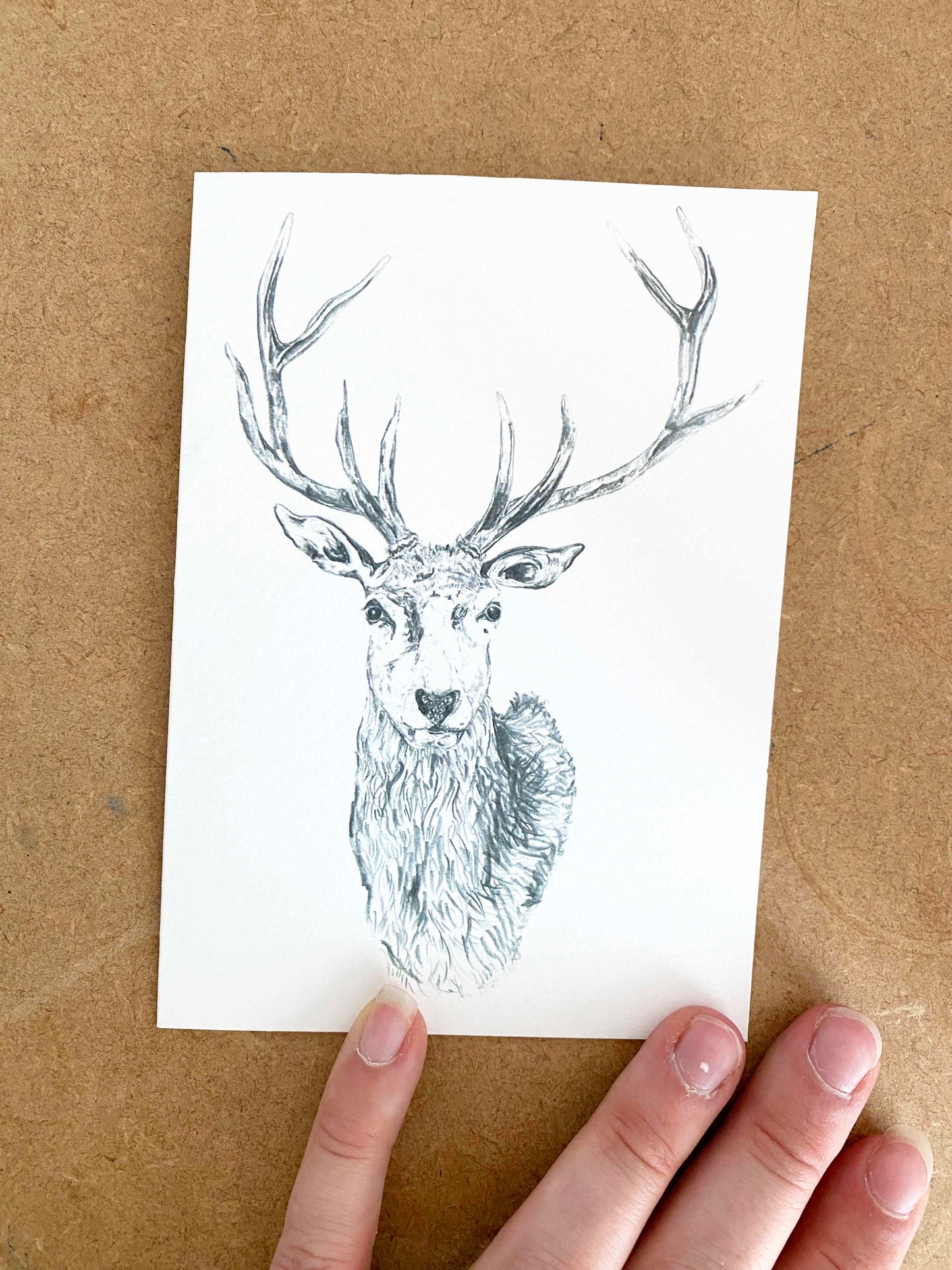 SAMPLE SALE - SET OF 6 CARDS 70% off