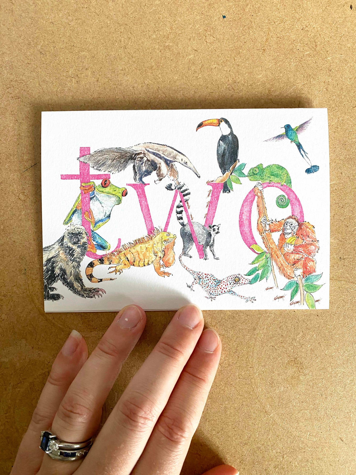 SAMPLE SALE - SET OF 6 CARDS 70% off
