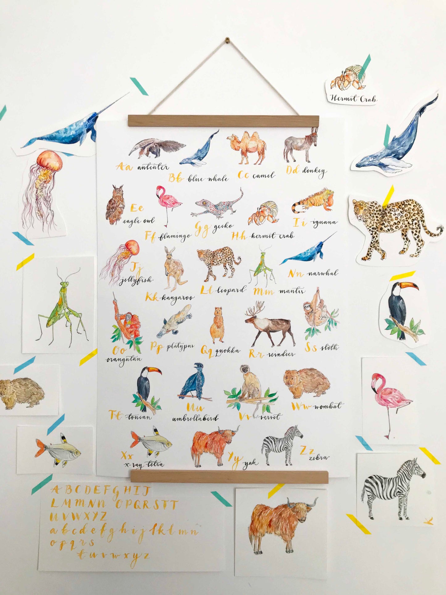 A to Z of Animals