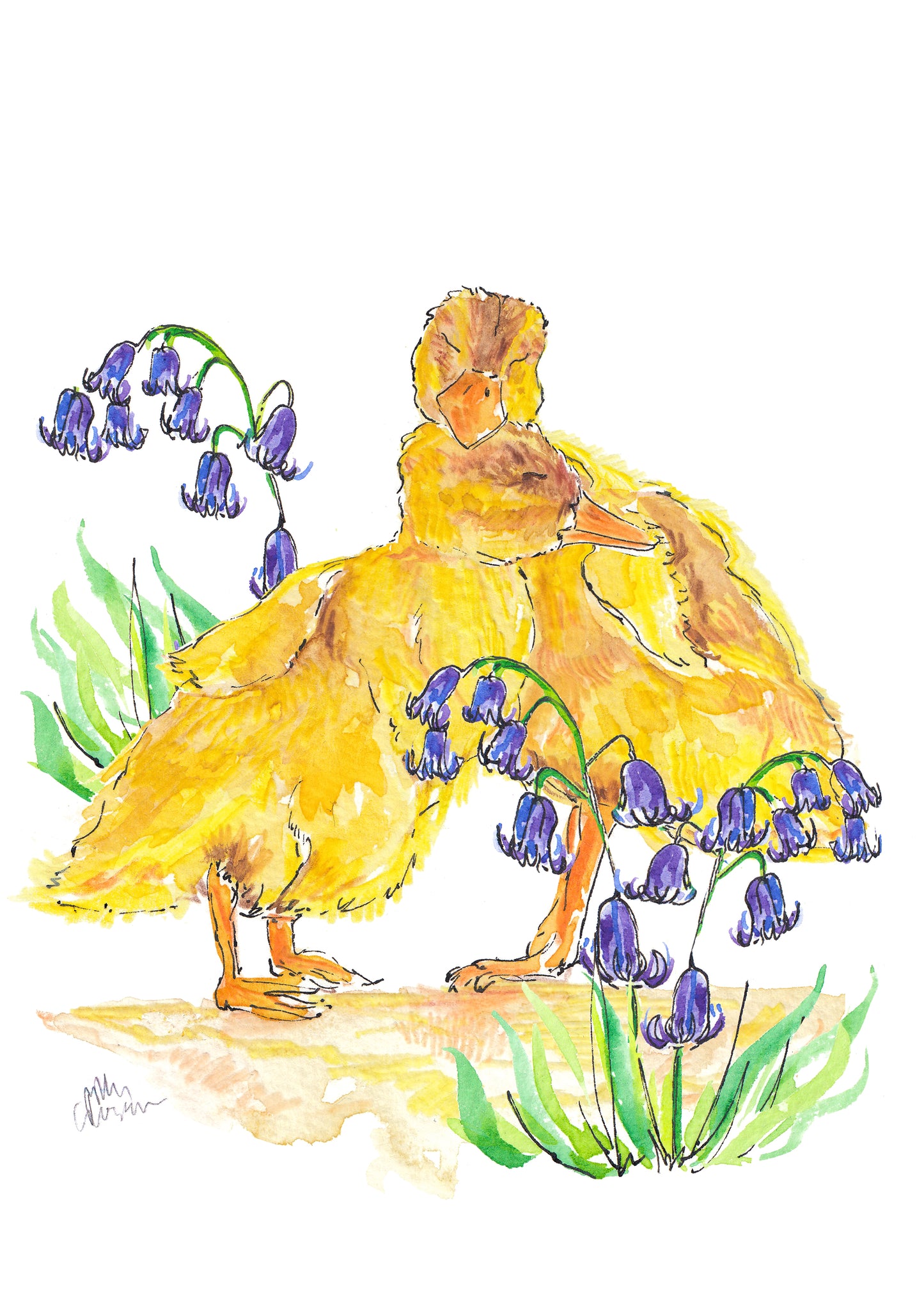 Cuddling Ducklings card - single card