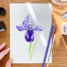 Load image into Gallery viewer, Iris No.4 card