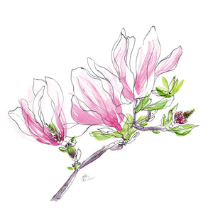 Magnolia bloom print v.2