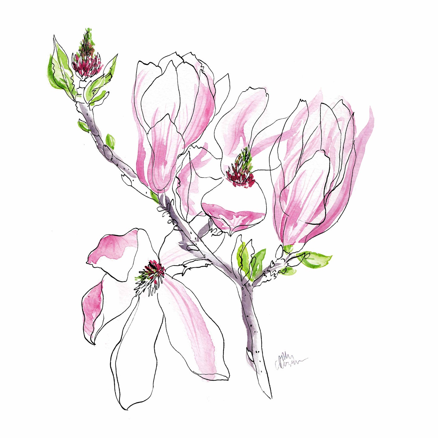 SAMPLE SALE Magnolia bloom print v.1