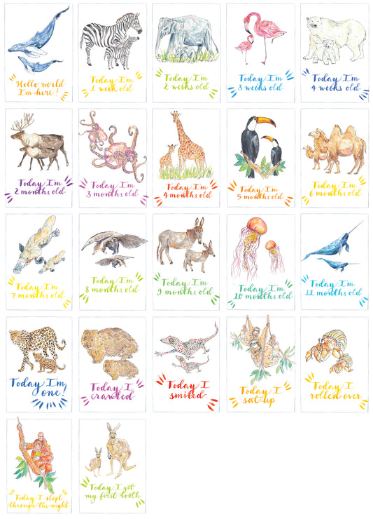 Baby Milestone Cards
