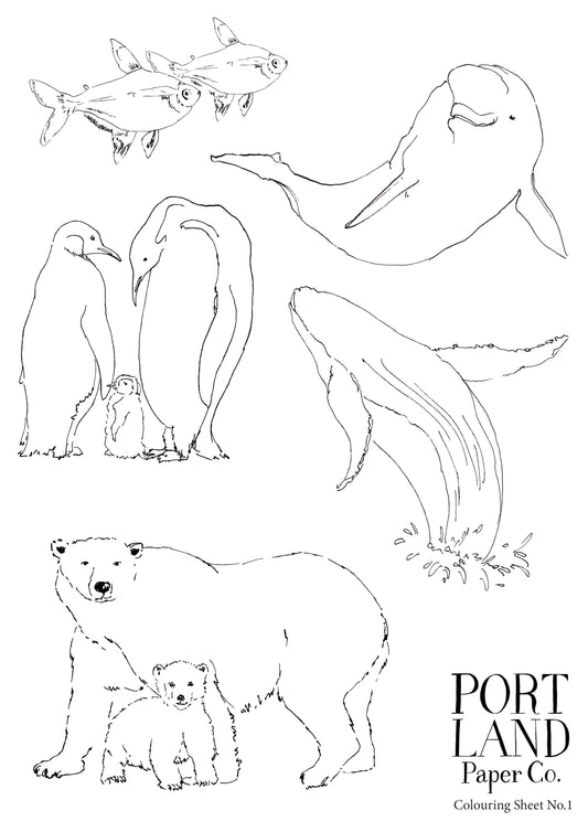 Portland Paper Co. Colour Sheet No.1