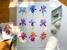 Load image into Gallery viewer, &#39;A Bunch of Irises&#39; print