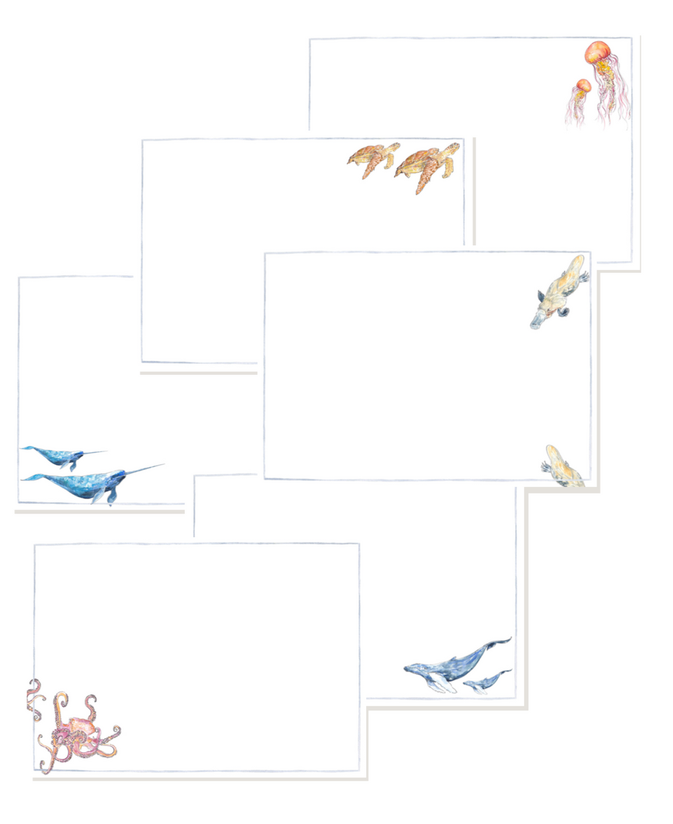 Under the Sea notelets – Portland Paper Company
