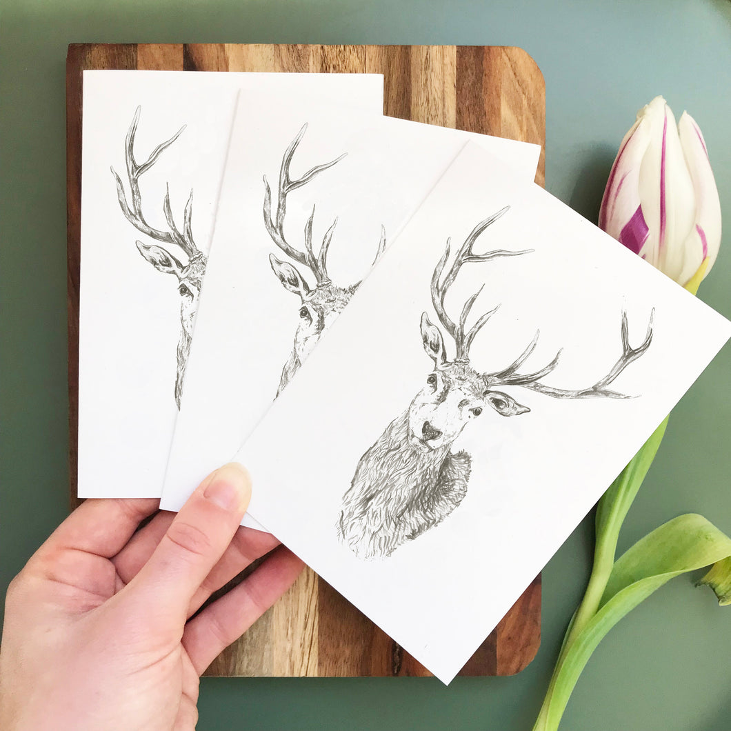 Stag Cards